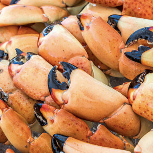 boil de stone crab