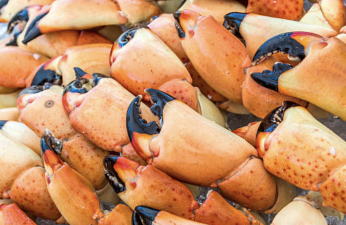 Stone Crab 1 lb