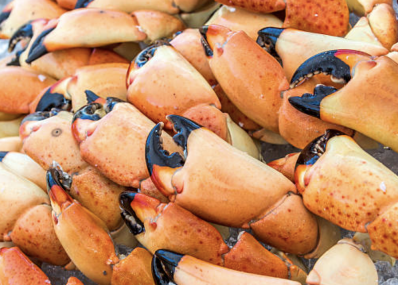 boil de stone crab