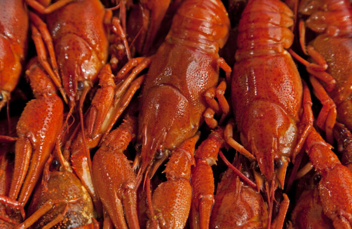 Crawfish 1 lb