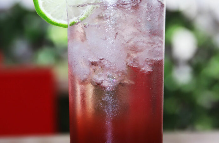 Cranberry Vodka